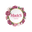 Logo de Mack's Professional